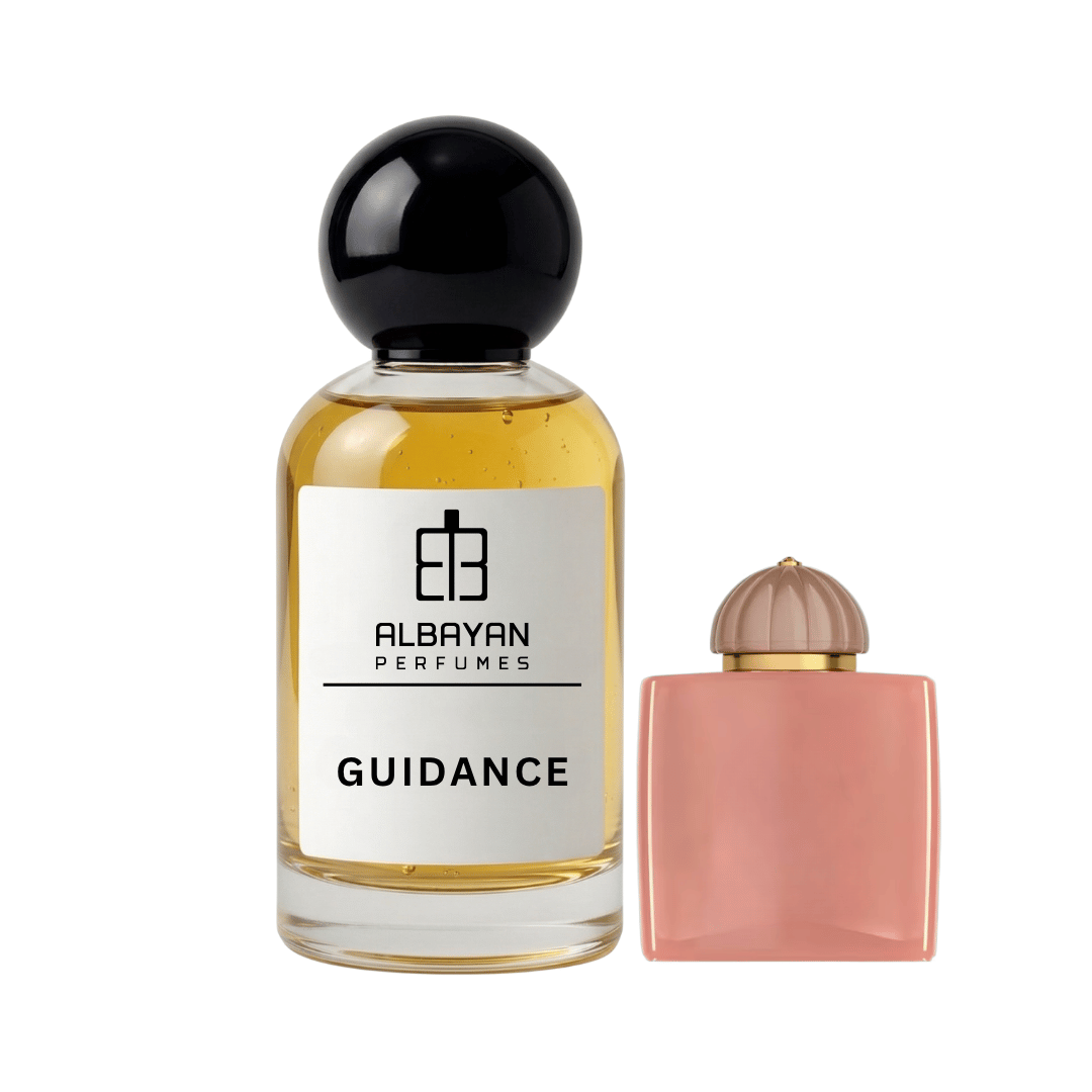 جايدنس - Guidance
