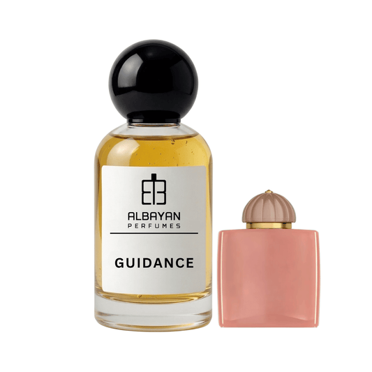 جايدنس - Guidance